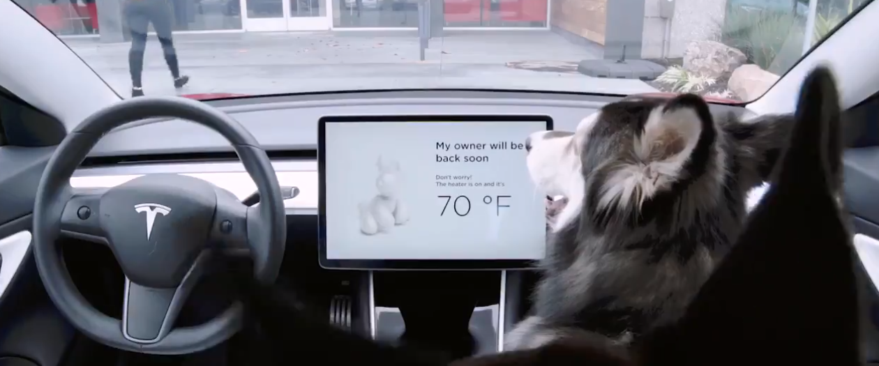 Tesla Announces Upcoming "Dog Mode"